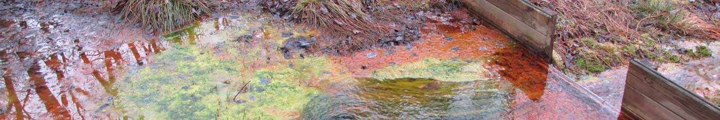 Stonycreek Tributaries